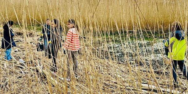 Kinderen van het Junior Team jutten in de Scheldebocht tussen het riet.